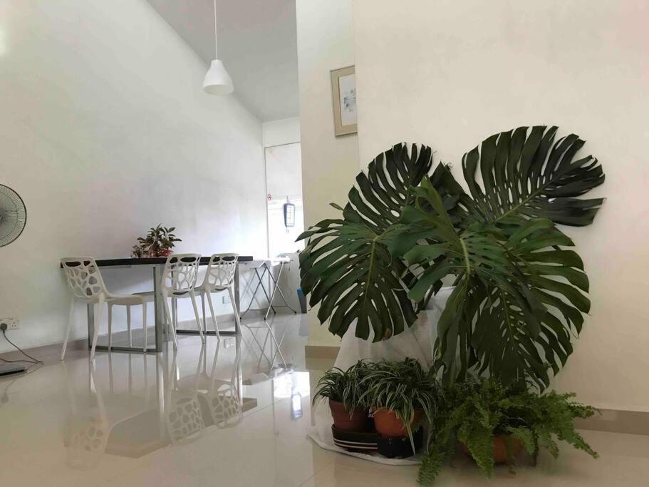 Terrace House Near Stulang Laut Ciq Midvalley Ksl For 7Pax ジョホールバル エクステリア 写真